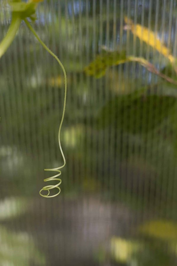 Comment les animaux s'adaptent-ils à la vie dans les zones humides ?