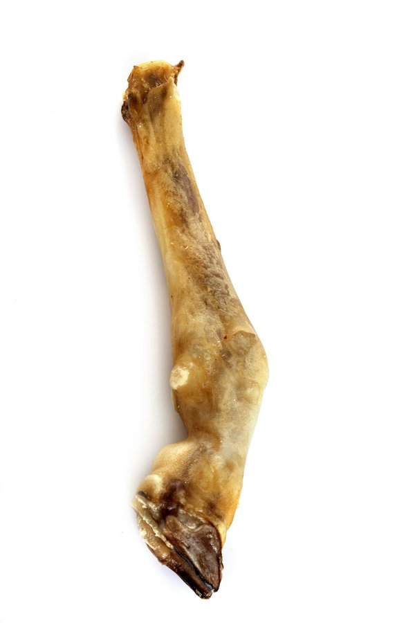 Les bienfaits du sabot de veau pour chien